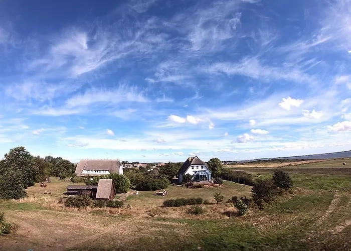 Suederhaus Hiddensee App 9 Lejlighed